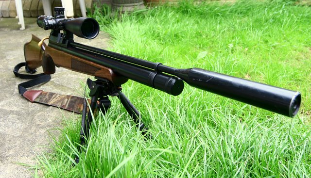 Air Rifle