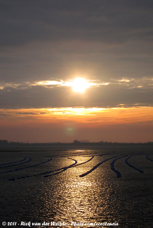 Sunrise at the mussel cultivations