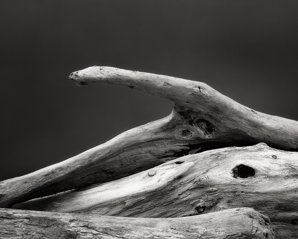 DRIFTWOOD 1