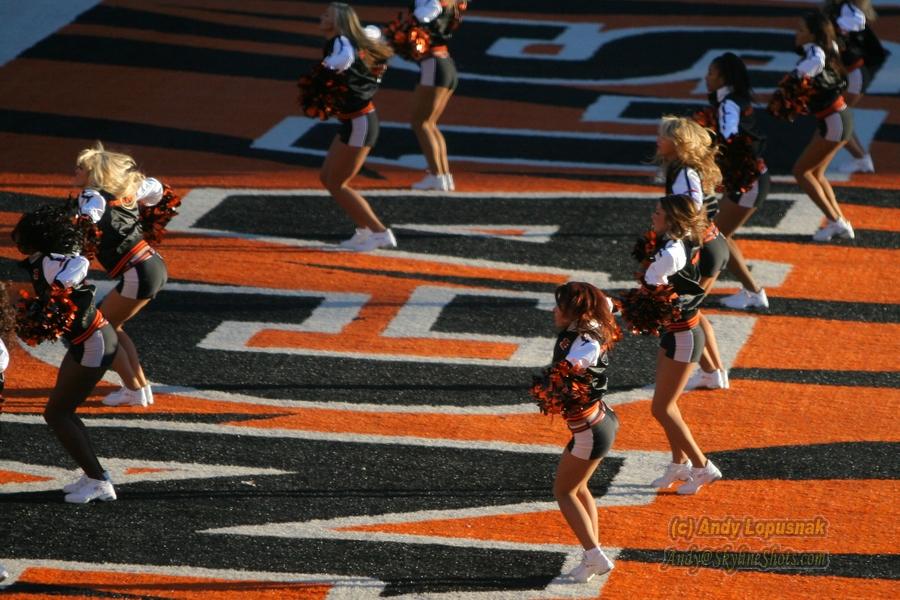 Cincinnati Bengals cheerleaders