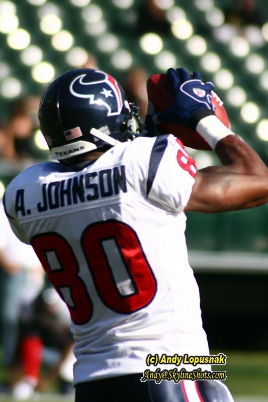 Houston Texans WR Andre Johnson