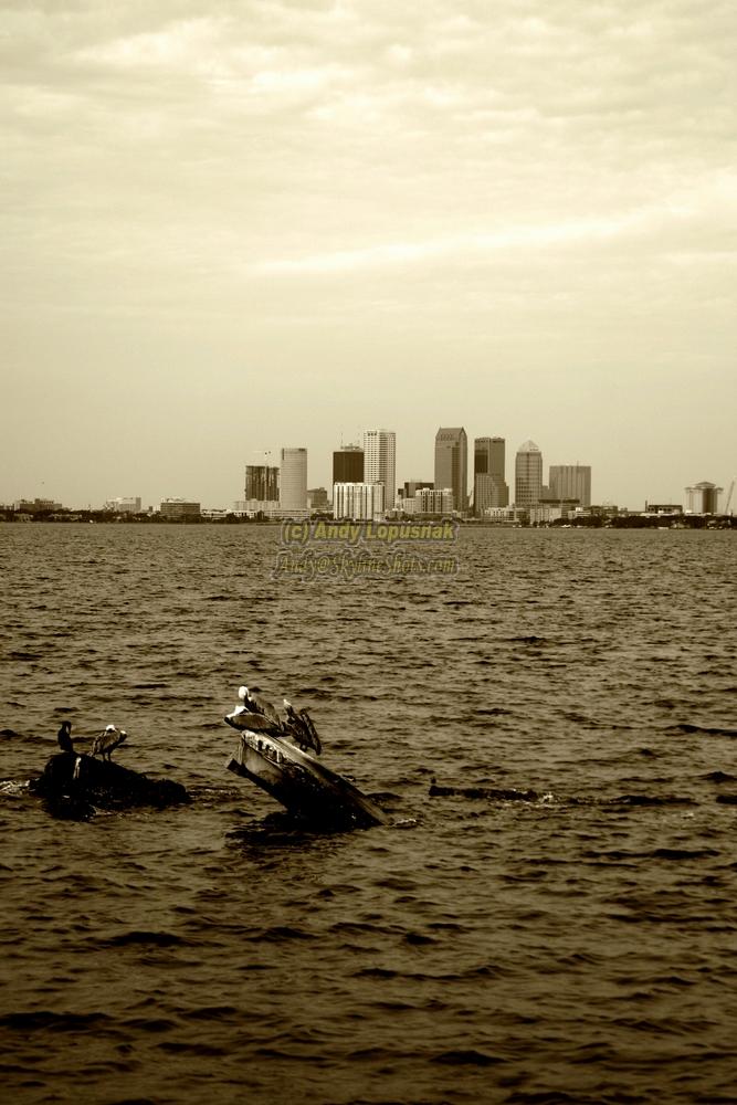 Downtown Tampa from Ballast Point Pier