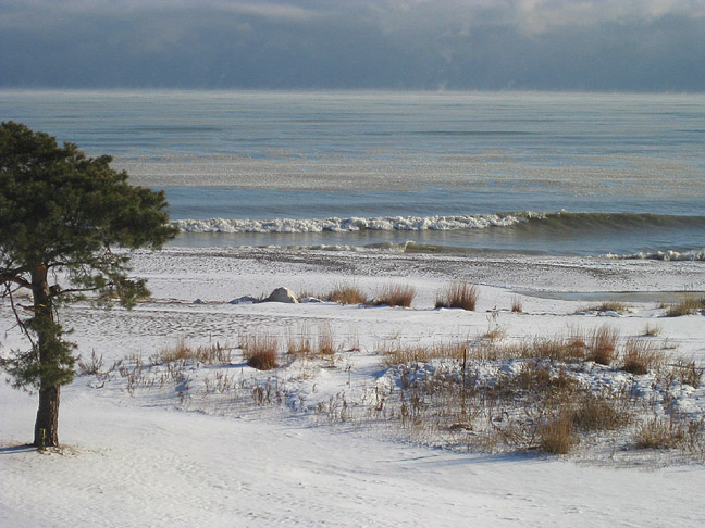 Illinois Beach State Park