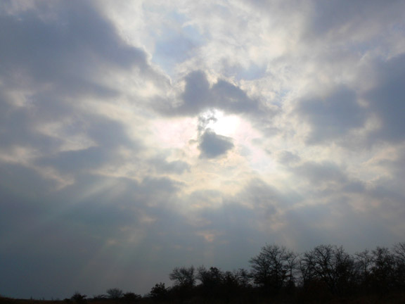 Sunbeams over IBSP