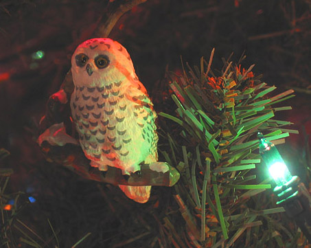 Christmas Snowy