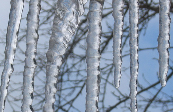 Icicles outside my window