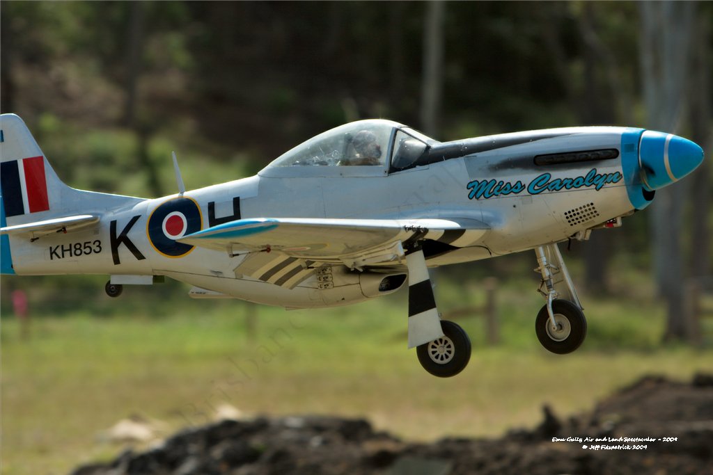 Emu Gully - 2009 - Models_5412.jpg