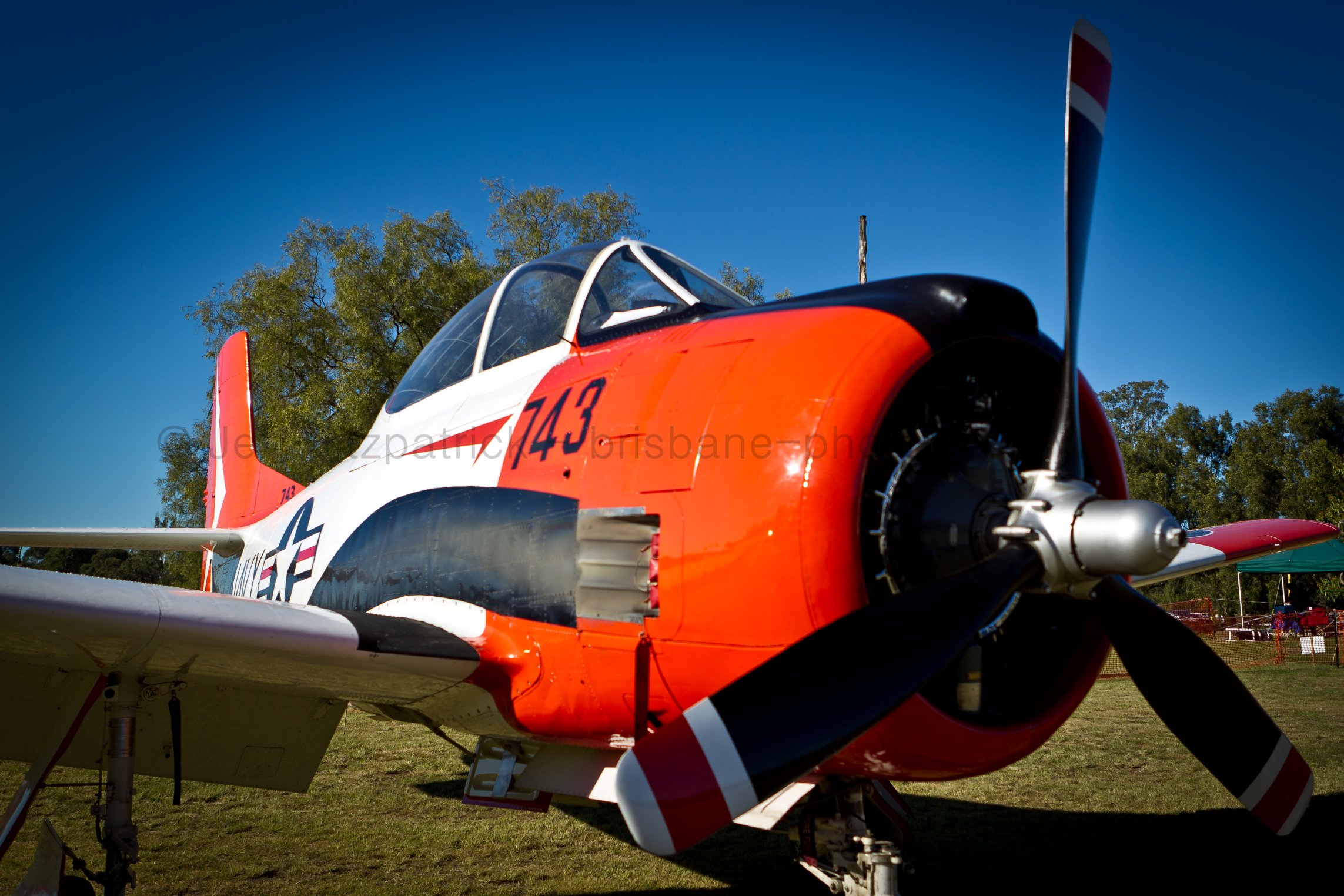 F05F4987.jpg