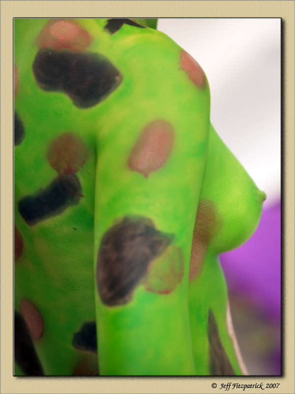 Australian Body Art Carnivale - 2007 - 48.jpg