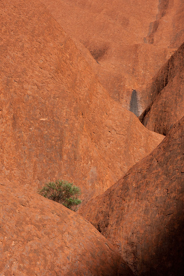 No Water, Ayers Rock (Uluru)