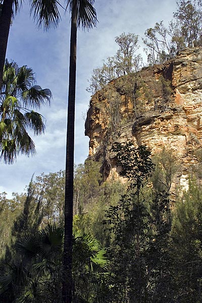 Carnarvon NP