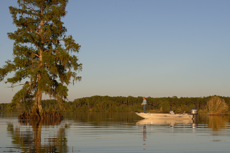 Fishing the Lake