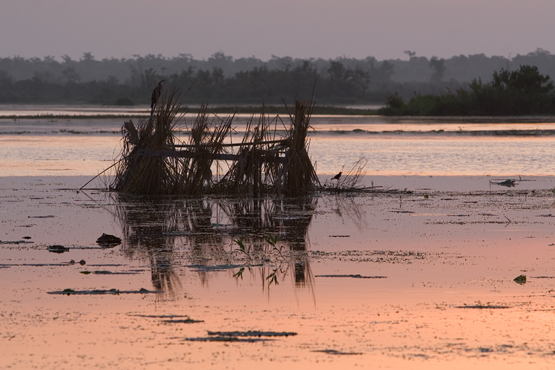 Duck Blind @ Sunrise