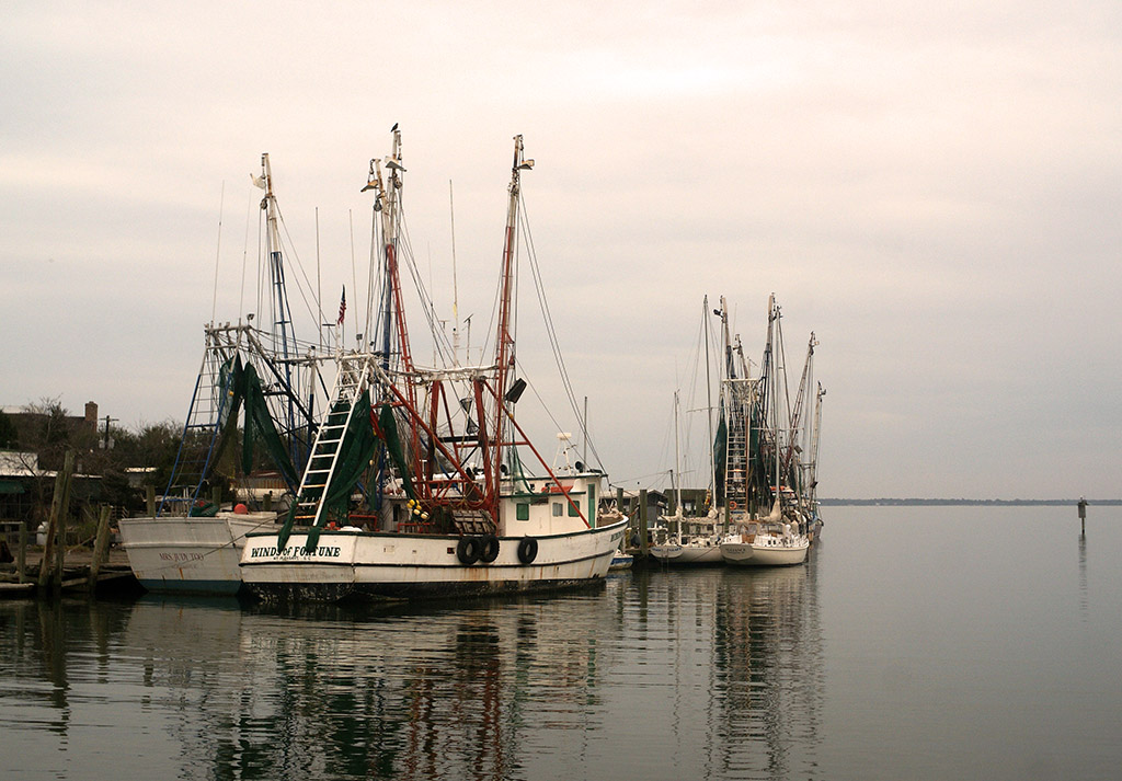 Shem Creek shrimping boats