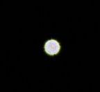 M102ED_Sirius_Intrafocal.jpg