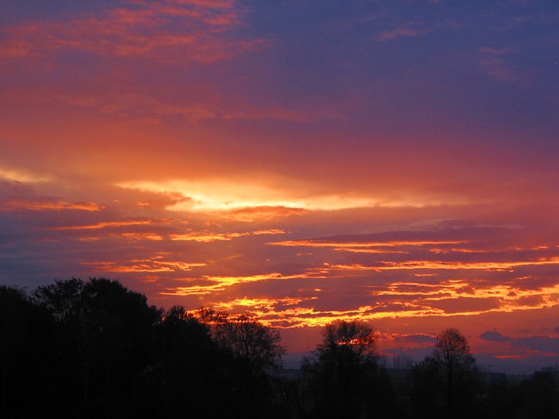 November morning