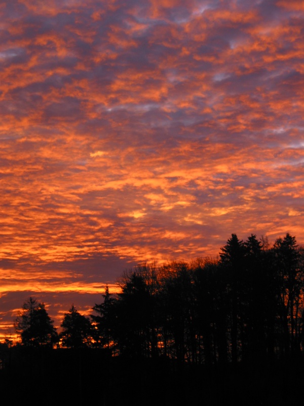 Clouds are the canvas the sun paints on