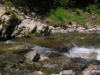Creek in the mountains
