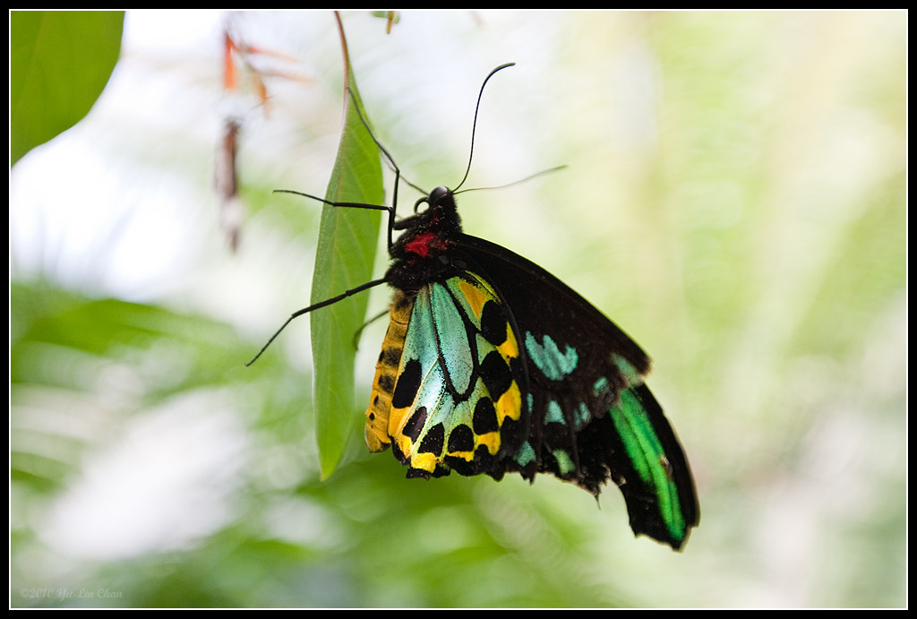 web_YLC00911.jpg