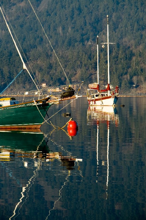 The Red Buoy