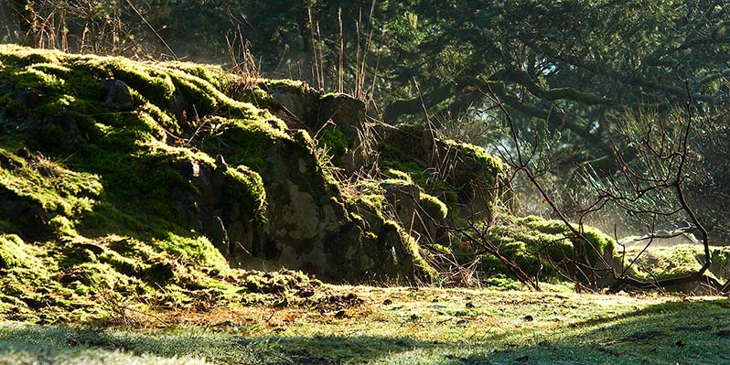 Moss Rock