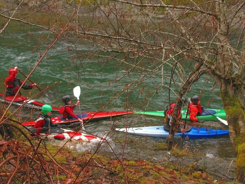 Kayaking The Cowichan River