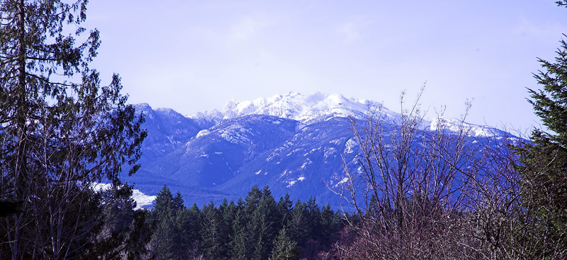 Mount Arrowsmith