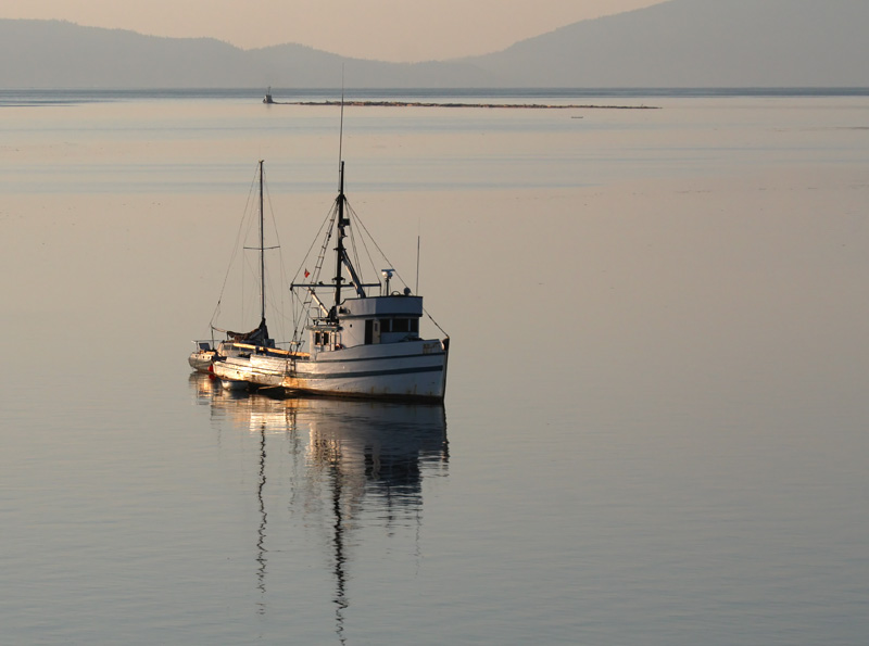 Early Morning Light