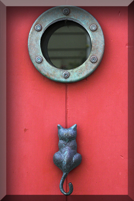 Cat Door