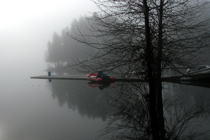 Shawnigan Lake School Dock