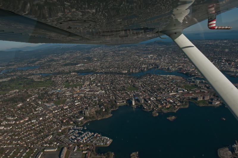 Wing Reflection