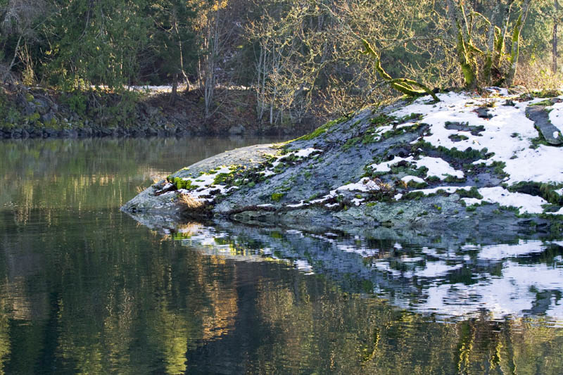 Reflections - In Living Colour