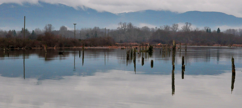 December at the Estuary