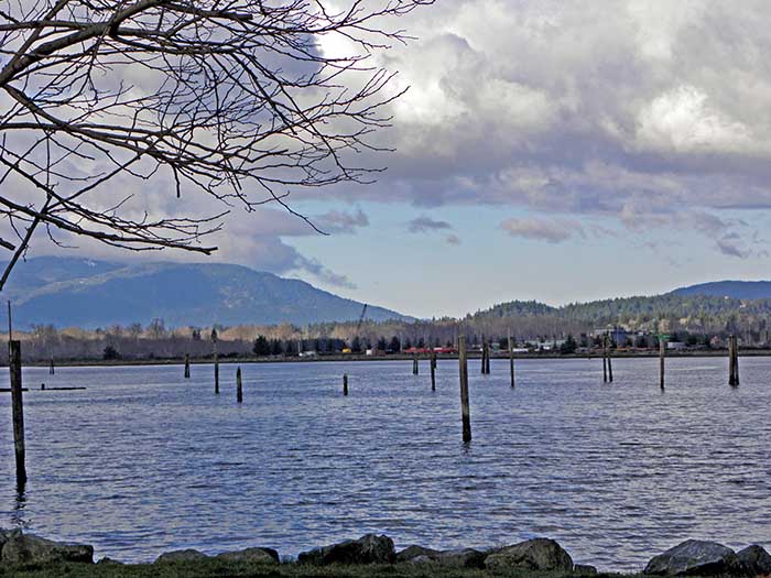 Cowichan Bay