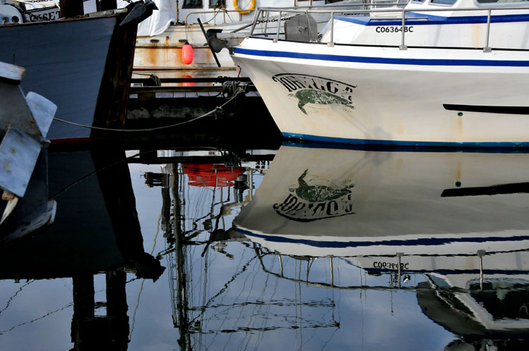 Cowichan Bay Marina