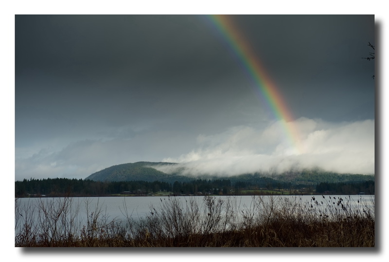 Lakeshore Gold