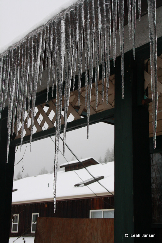 Icicles.. 2