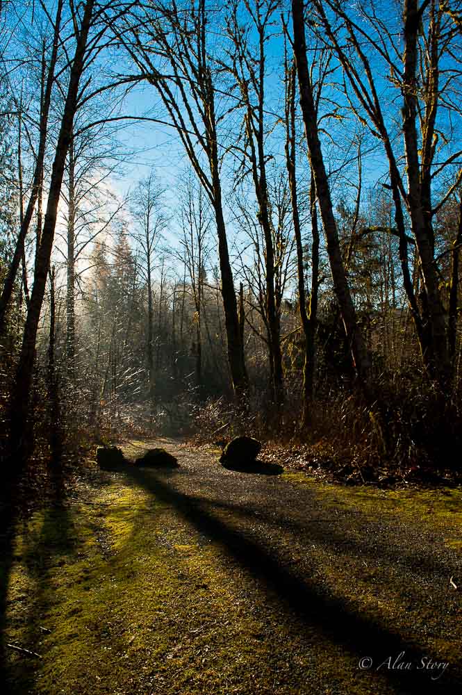 Skutz Falls Trail.jpg