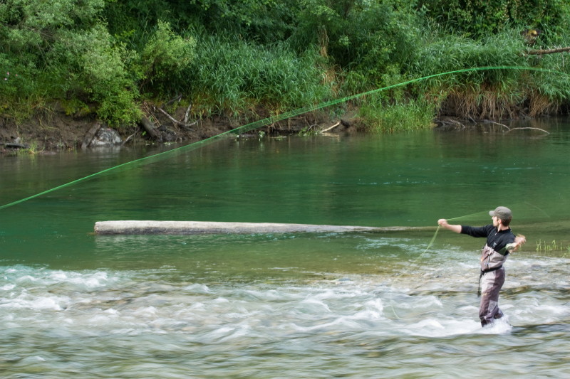 Fly Fisherman