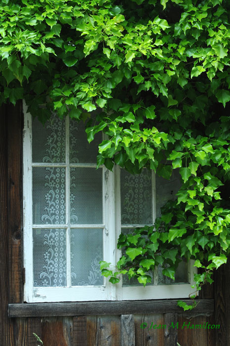 Rustic Window