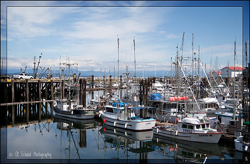 French Creek Marina