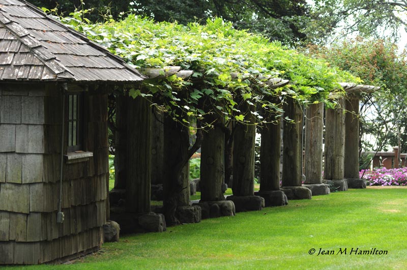 * Filberg Heritage Lodge and Park- Comox: August 18, 2012