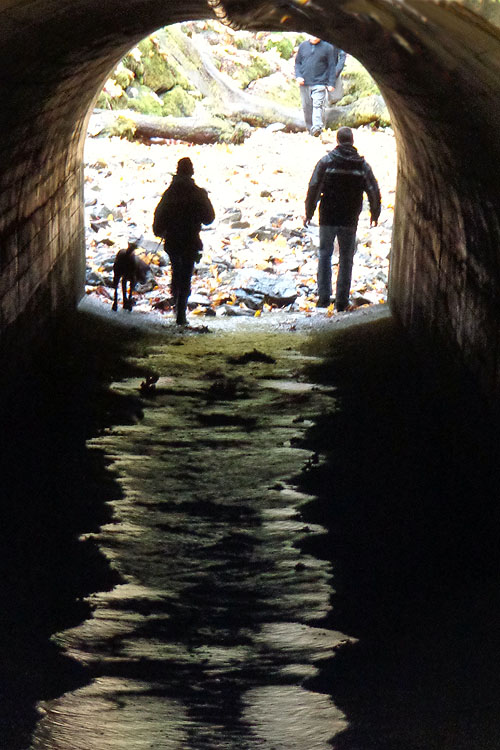 Under the Highway