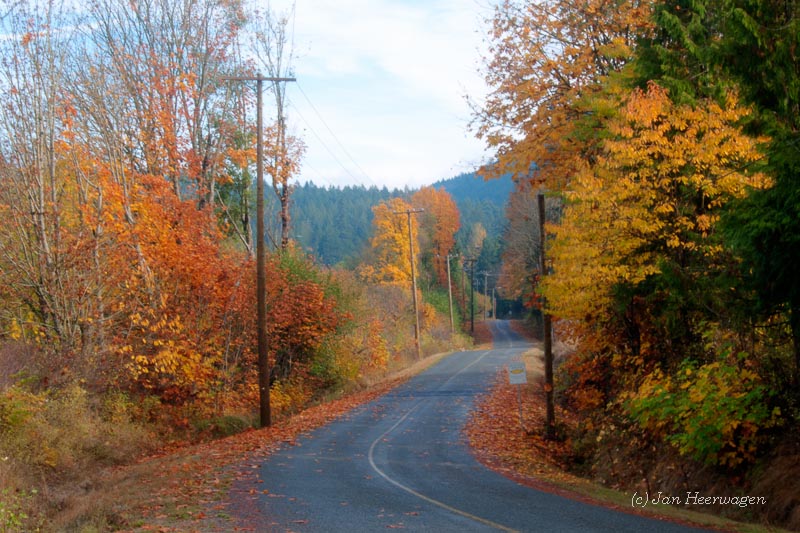 Westholme Fall Colors