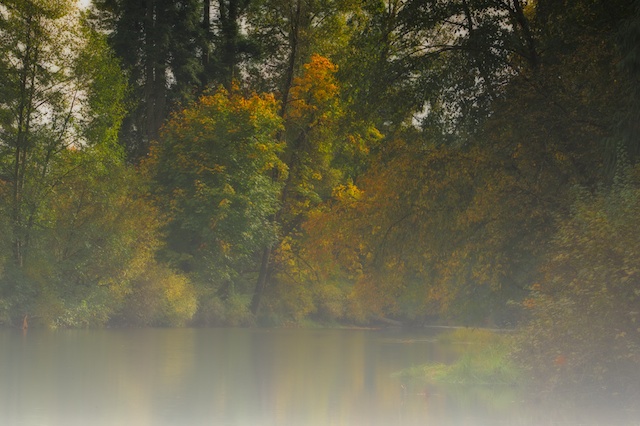 foggy river.