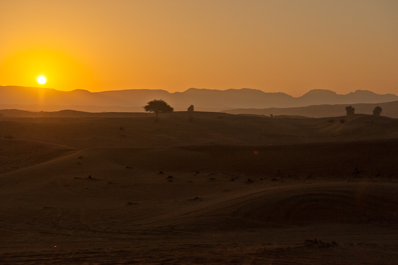Morning in the desert