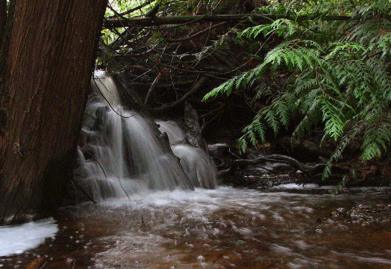 Falls at Rat Lake