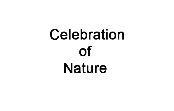 Celebration of Nature.jpg