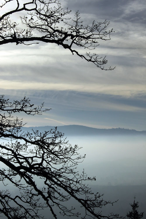 foggy valley