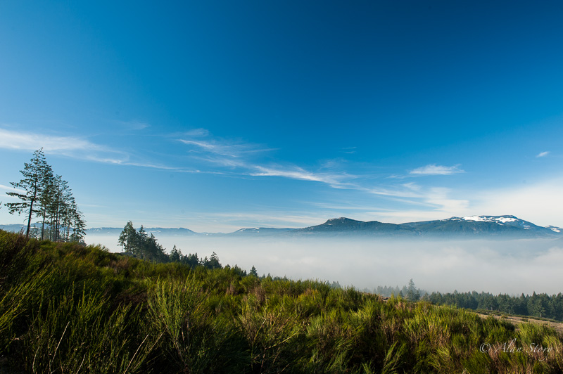 Morning mist in the Cowichan Valley.jpg